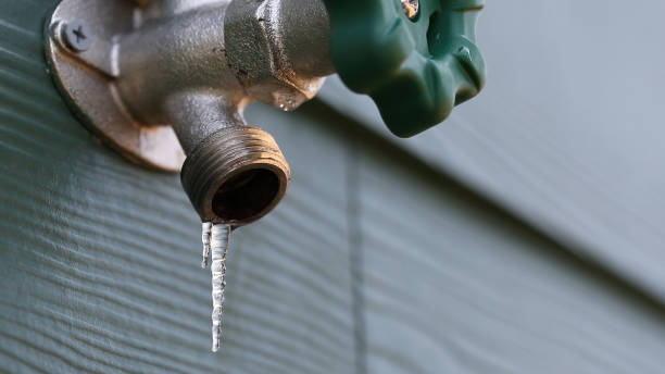 Best Clogged Drain Plumber  in Morenci, AZ